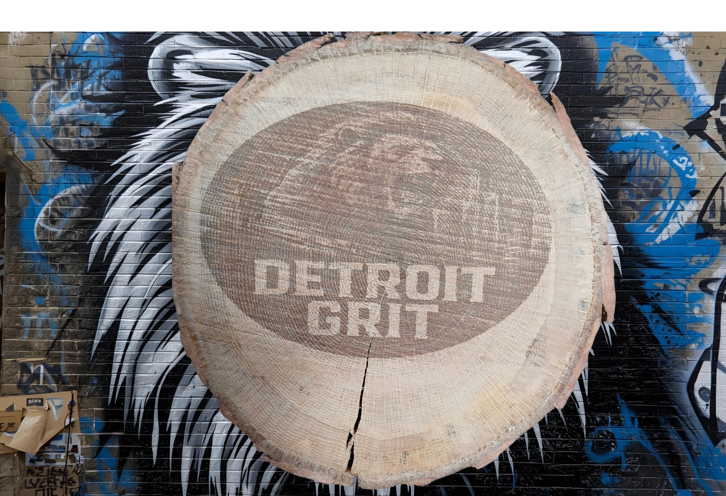 Detroit Lions Grit Live Edge 9" Round Laser Engraved Signs